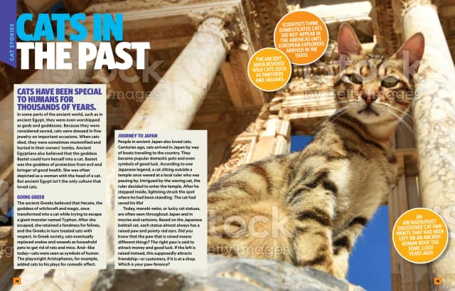 Can't Get Enough Cat Stuff interior page 1