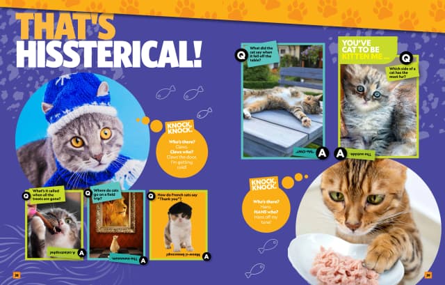 Can't Get Enough Cat Stuff interior page 2