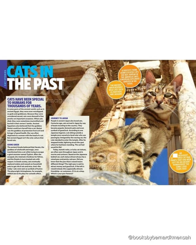 Can't Get Enough Cat Stuff interior page 1