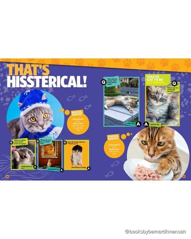 Can't Get Enough Cat Stuff interior page 2