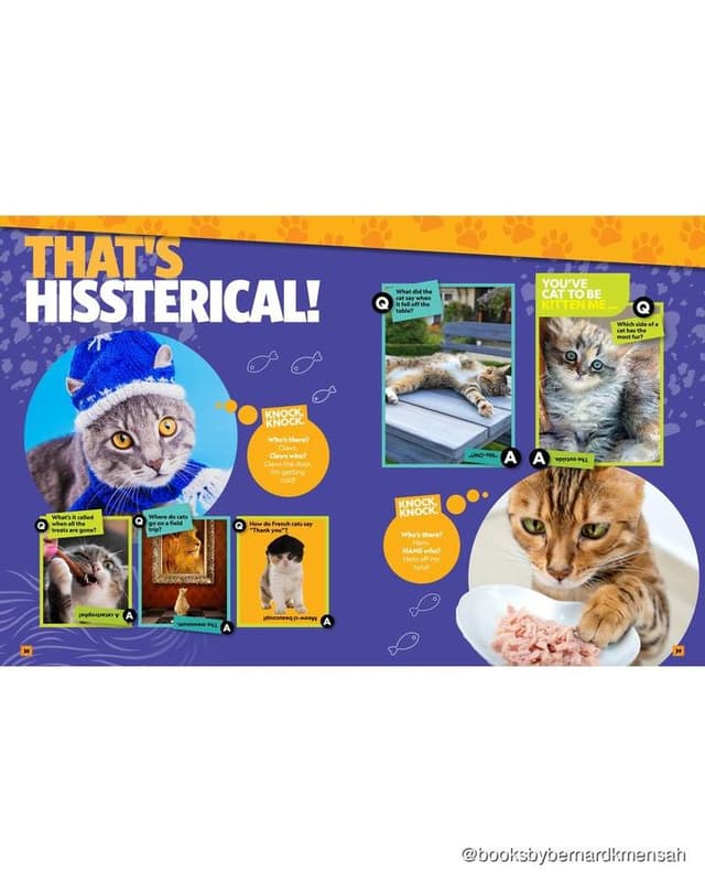 Can't Get Enough Cat Stuff interior page 2
