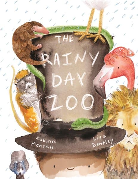 The Rainy Day Zoo book cover